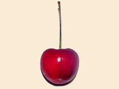 Cerise DeLand's Cherry