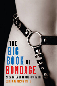 The Big Book of Bondage: Sexy Tales of Erotic Restraint