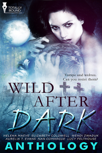Wild After Dark